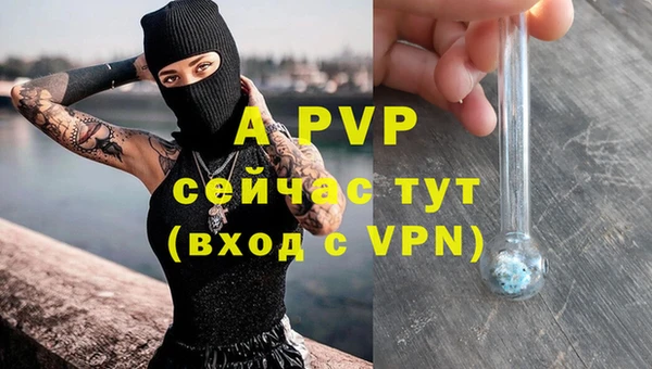 индика Армянск