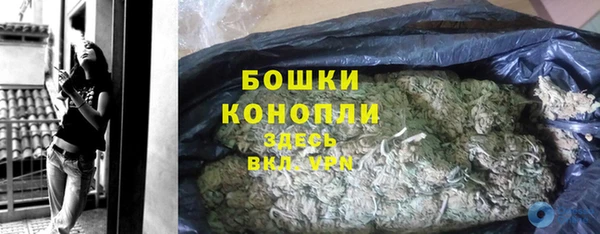 ГАЛЛЮЦИНОГЕННЫЕ ГРИБЫ Арсеньев