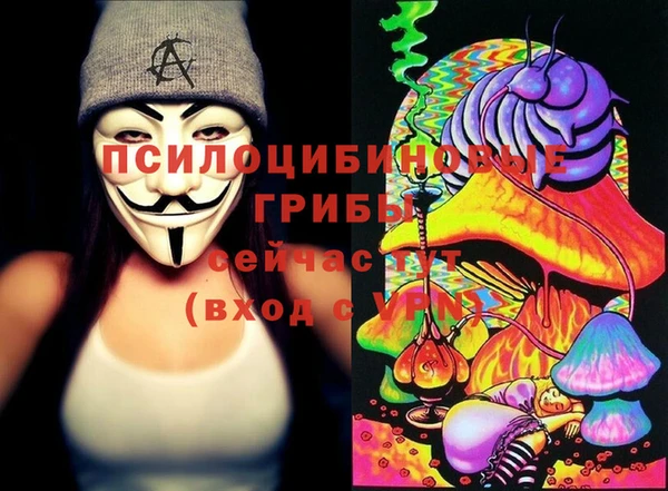 ГАЛЛЮЦИНОГЕННЫЕ ГРИБЫ Арсеньев